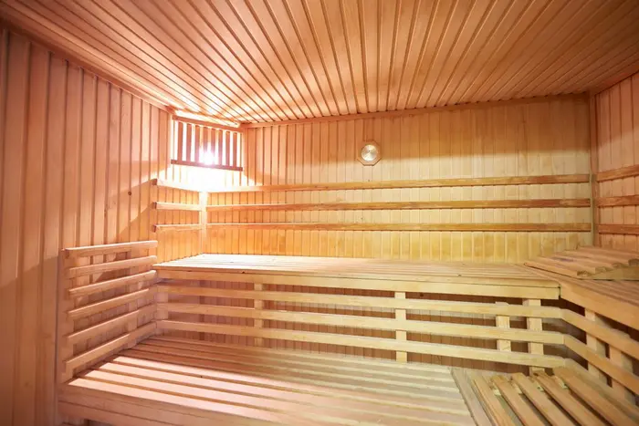 hotel pahuljica vlasic wellness spa